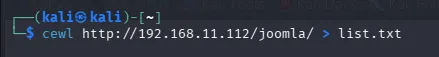 CeWL generating a wordlist from site content