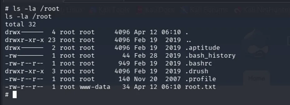 root directory listing showing the flag file