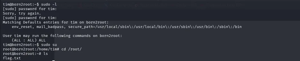 sudo -l showing unrestricted root access, root shell obtained