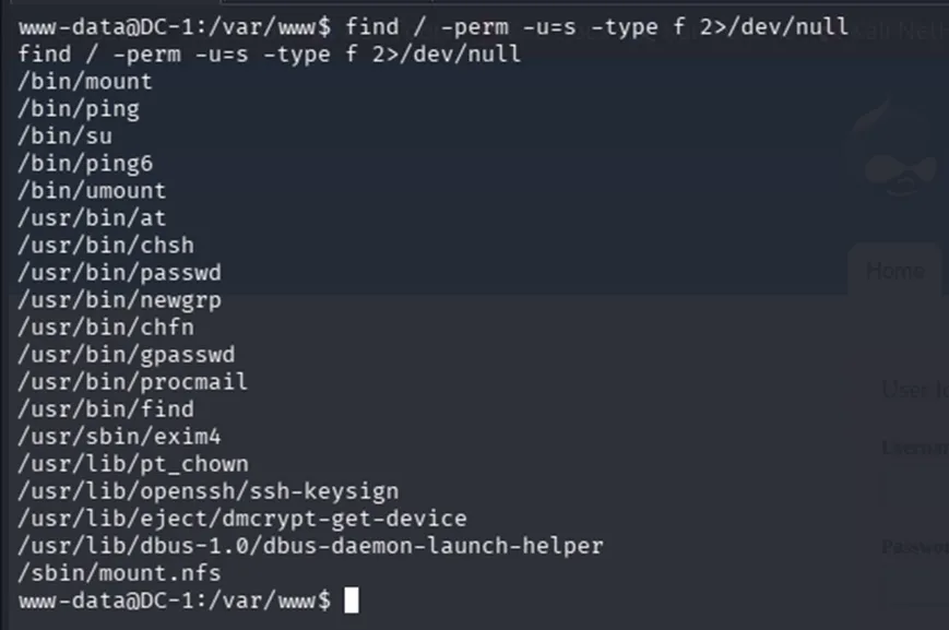 list of SUID binaries found